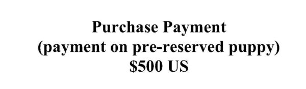 Purchase Payment on reserved puppy $500 US